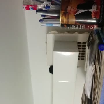 Cat Climbs Through Ventilation