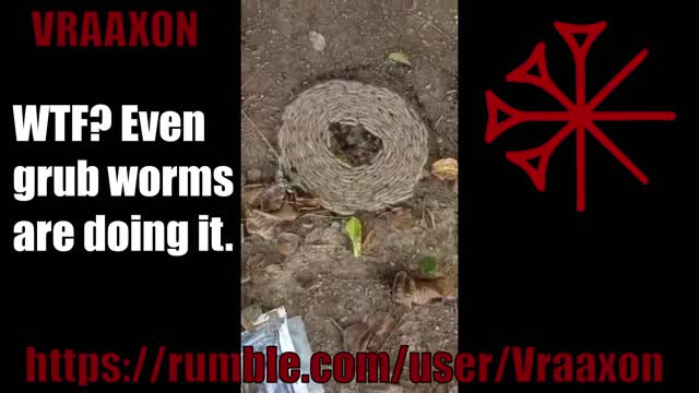 WTF? Even grub worms are doing it !!! Armageddon is NEAR ???