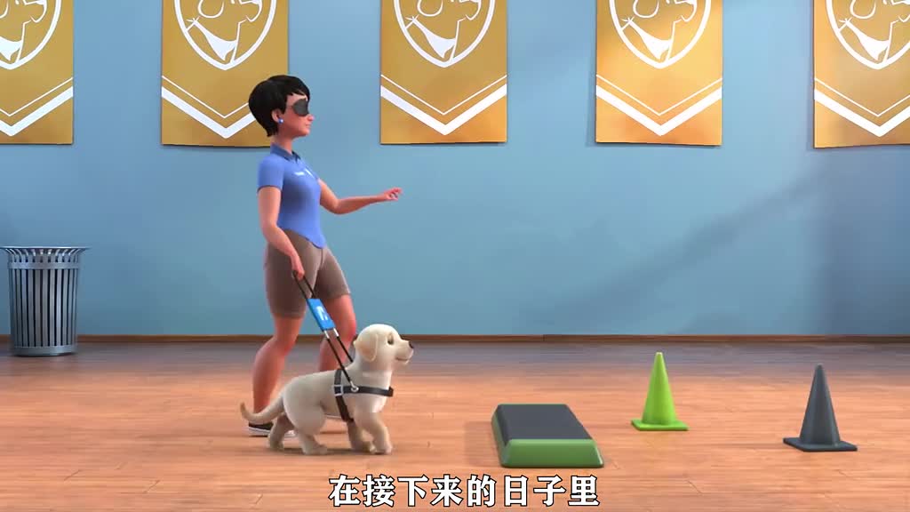 A short dog tries to become a guide dog