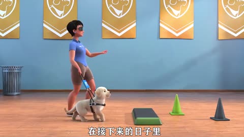 A short dog tries to become a guide dog