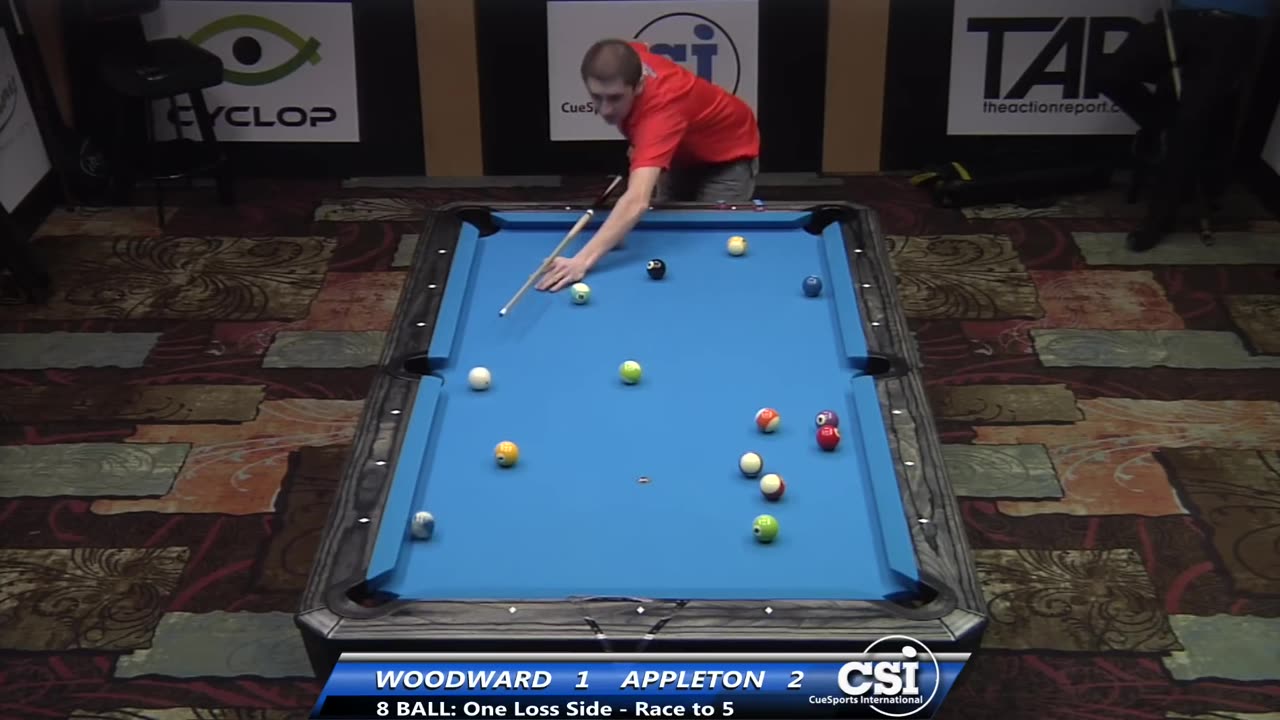 Darren Appleton vs Skyler Woodward ▸ 2014 US Bar Table 8-Ball Championship