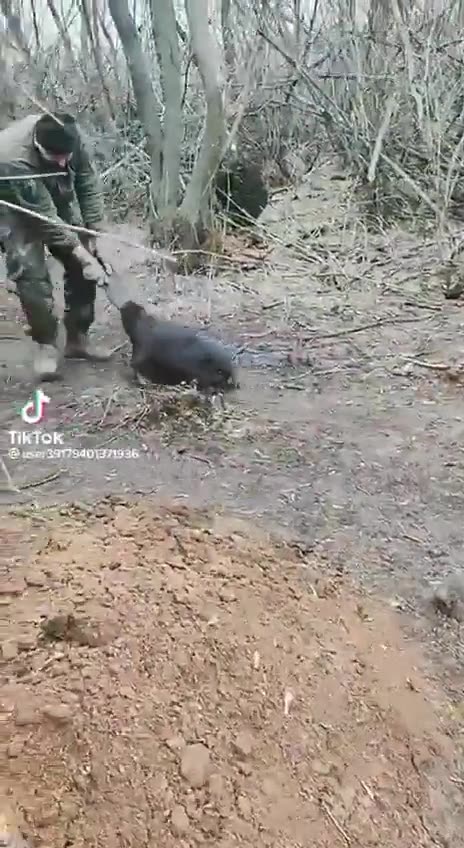 War in ukraine Donbass Bakhmut