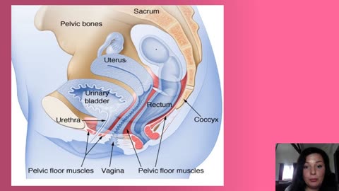 Part 3- How To Do 'Kegels' Correctly