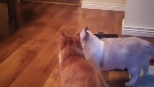He didn't seem at all interested