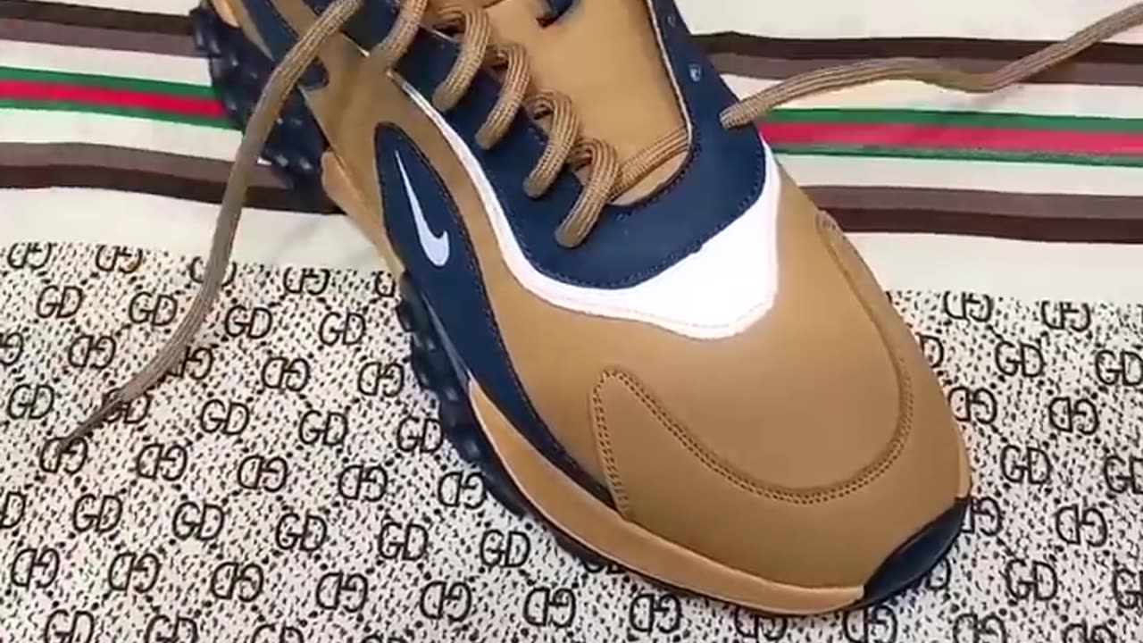 Shoeslace