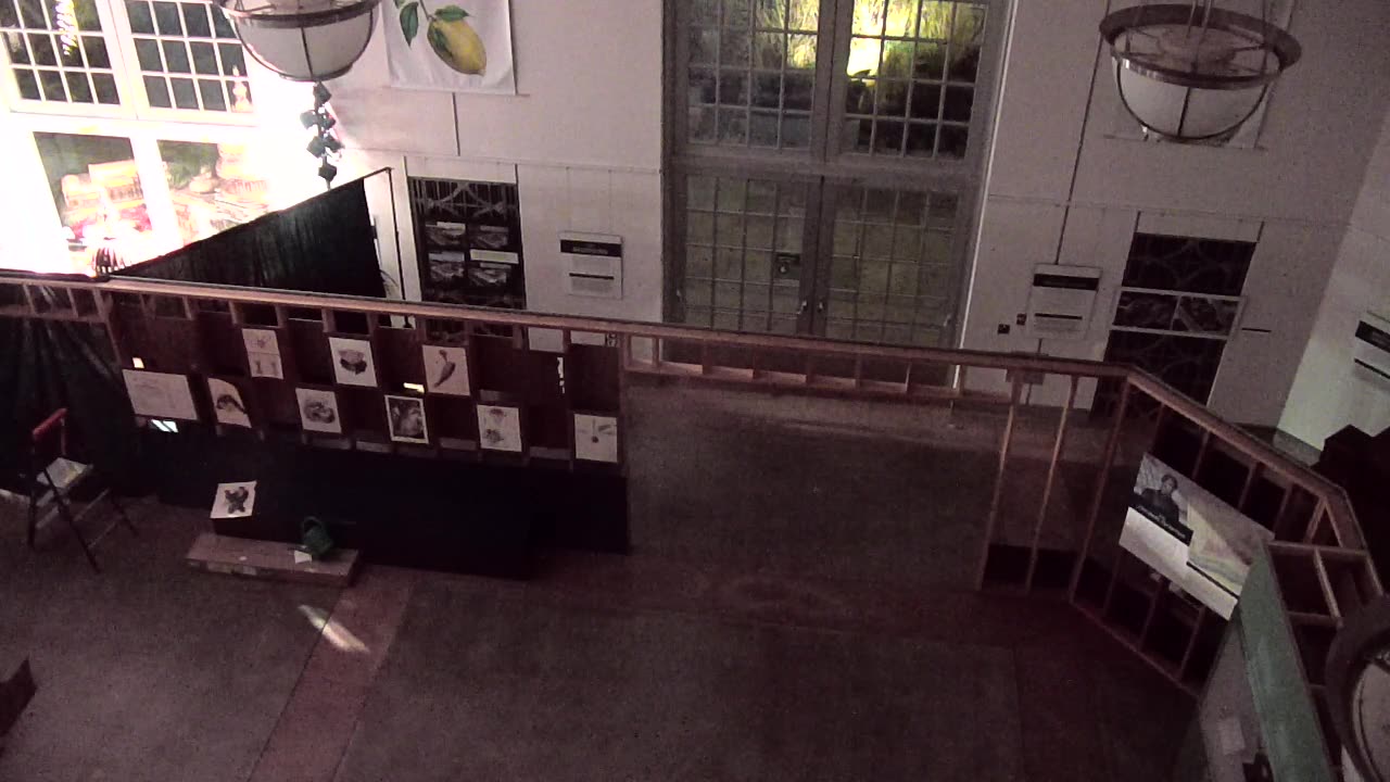 4011BGCO01EastHall_2021-01-06_06h20min00s300ms.mp4