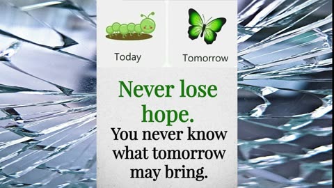 Never lose hope