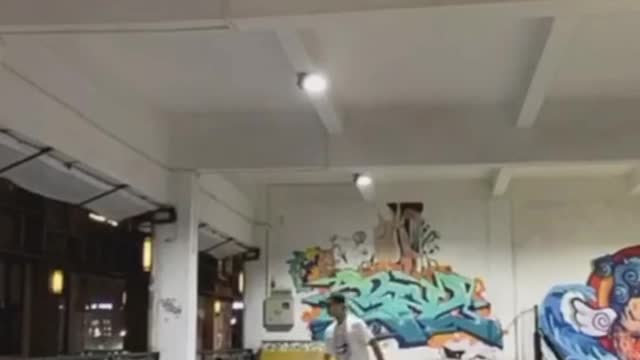 You really don't know how scared I am of cockroaches! Can flymp4
