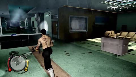 Sleeping Dogs: Definitive Edition - Intensive Care