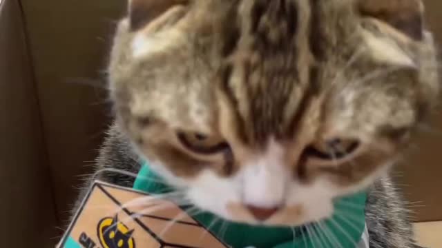 “Delivery person who never lets go of packages 📦😂