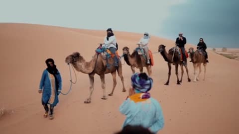 Camel riding in the desert in Morocco