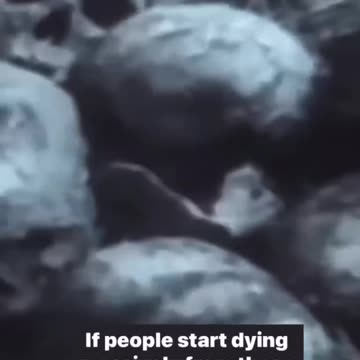 2009 prediction of 2020 George Friesel