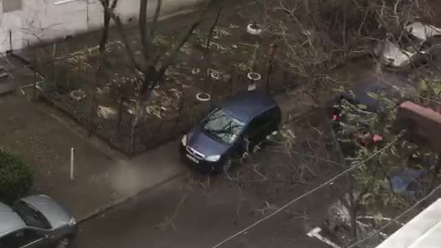 Cat Going for Surprise Ride Bails From Van and Gets Away