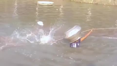 Amazing fishing video in village river