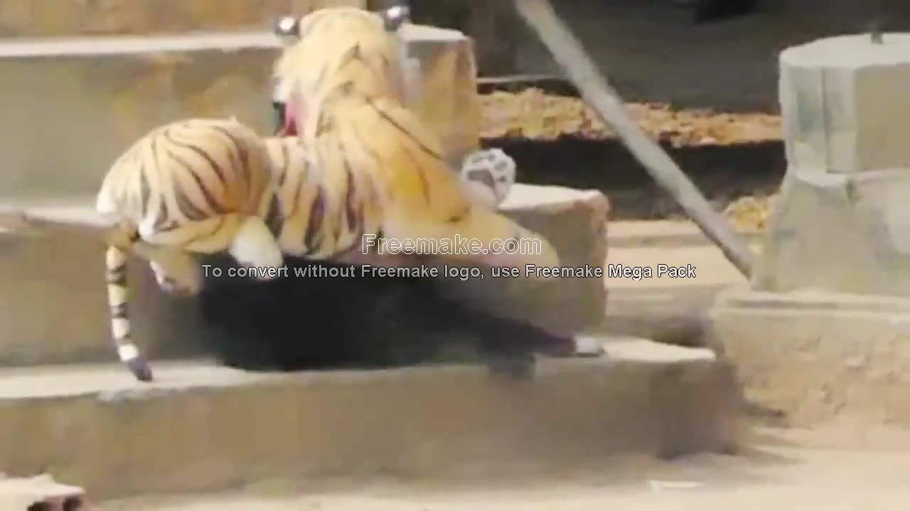 Funny animal video,Troll Prank Dog Funny & fake Lion and Fake Tiger Prank To dog