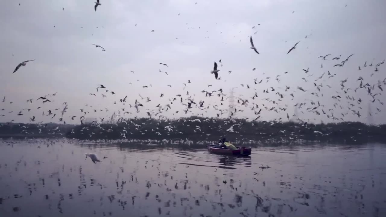 A Serene Dance Over Water