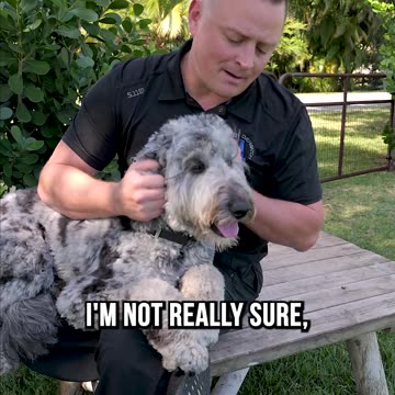Are These the World’s Longest Doggy Eyelashes?