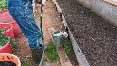 Fertilize carrots, garlic and onions. Includes pH testing.