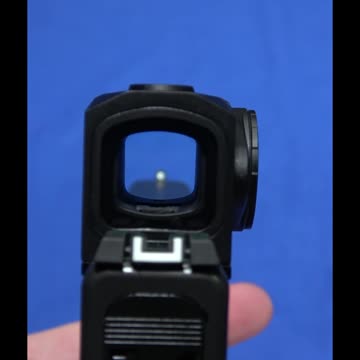 Quick View of a Mounted Cyelee Bear #short #shorts