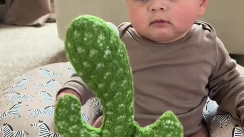 do all babies hate the cactus at first