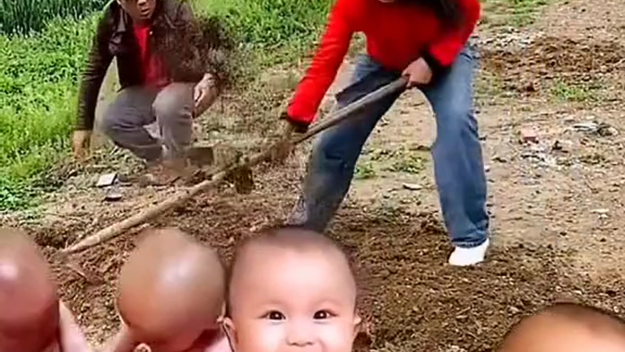 Amazing short Video 🎥