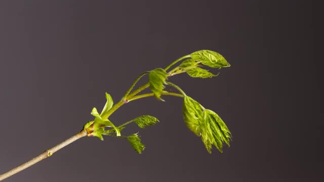 After Spending Time...IT CAPTURED