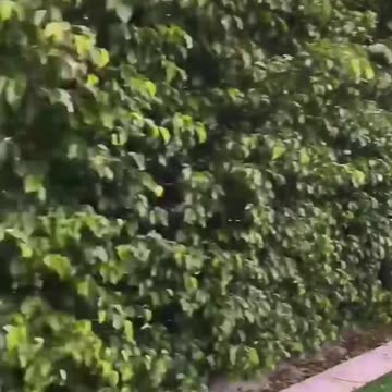 Another day, another home tour