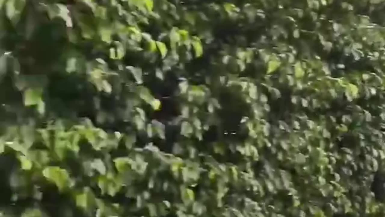 Another day, another home tour