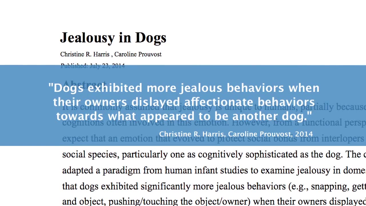 Dogs and Puppies Feel Jealousy