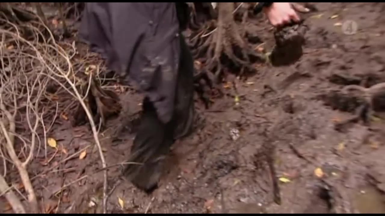 Robinson S11E01
