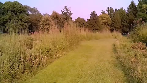 Sundayscape Clips: Sharon Woods Metro Park Pt 4