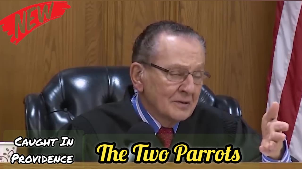 The Two Parrots | Caught In Providence