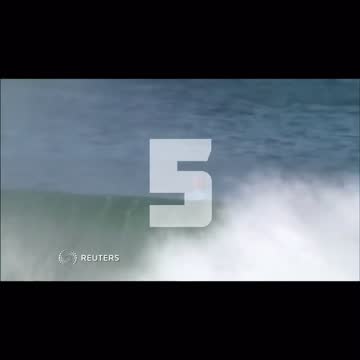 Crazy shark attack 1/5