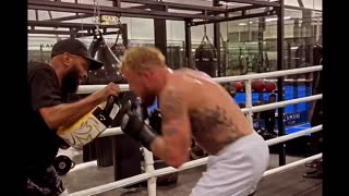Jake Paul vs. Andrew Tate Face Off