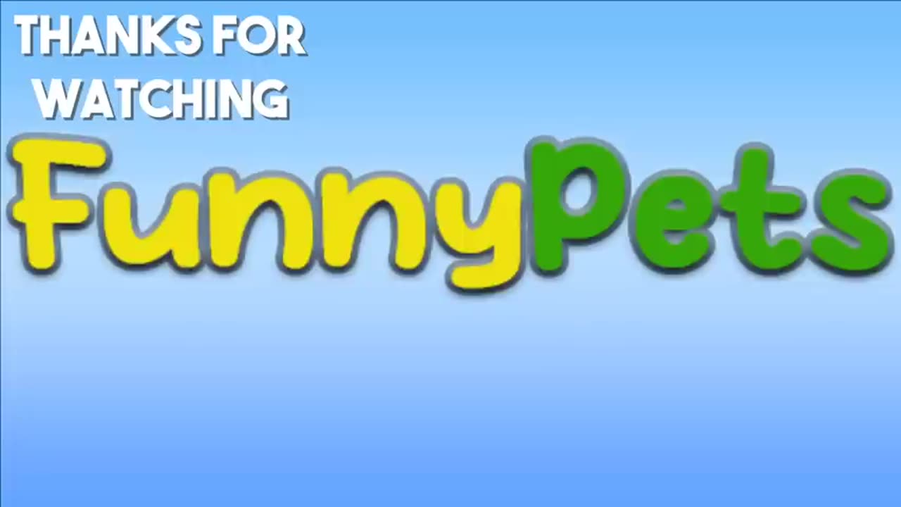 Fanny pets videos