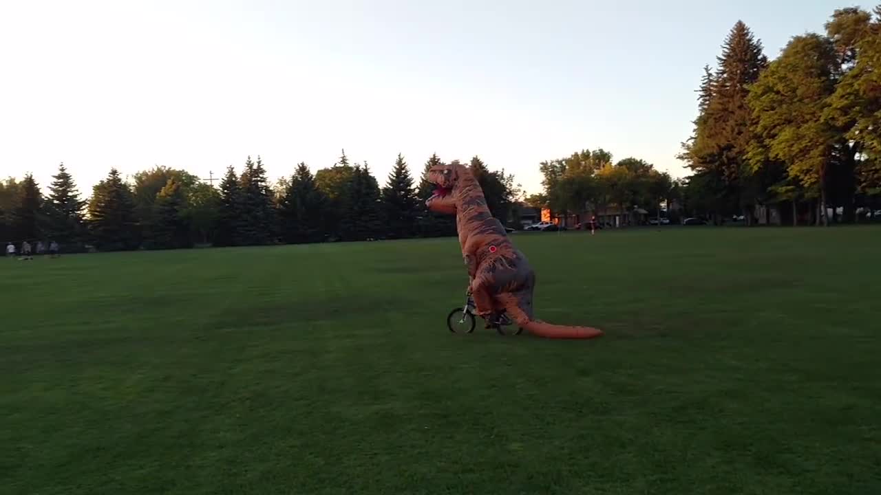 Here's a sight you don't normally see: T-Rex steals little girl's bike!