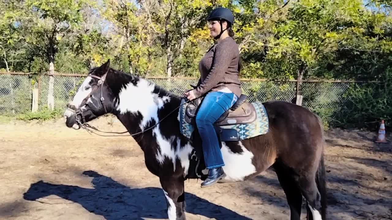 Beginner friendly Horse riding exercises for balance and control