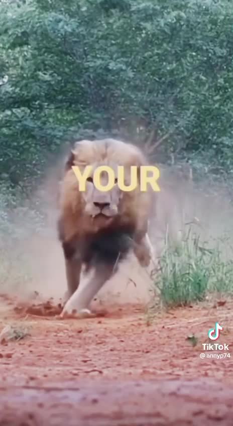 God Has Purpose For You