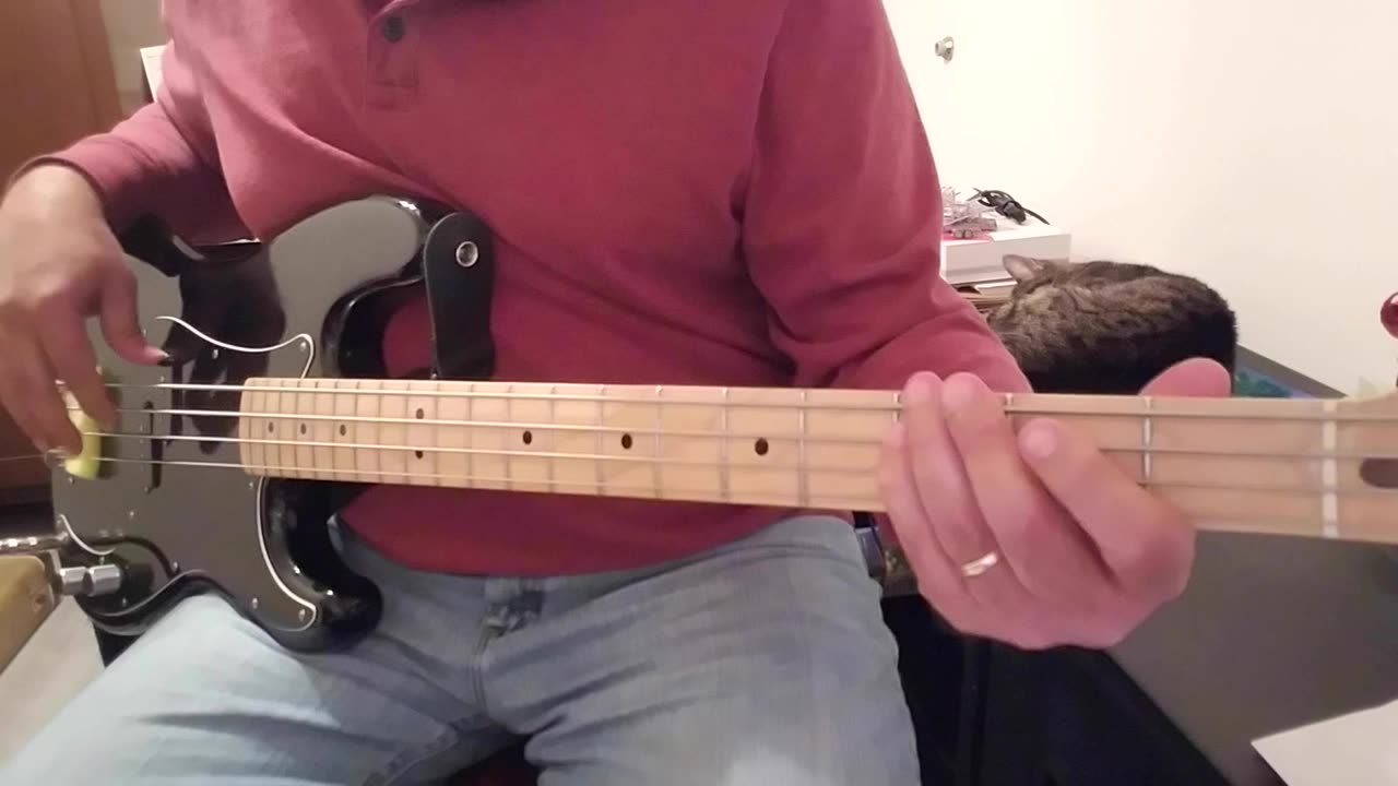 Devo - Gates Of Steel Bass Cover