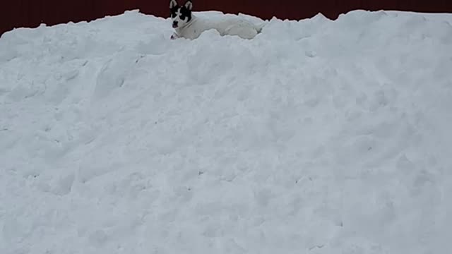 Everest playing King of the mountain