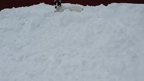 Everest playing King of the mountain