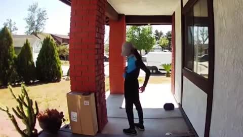 Delivery man puts a$$ on cactus