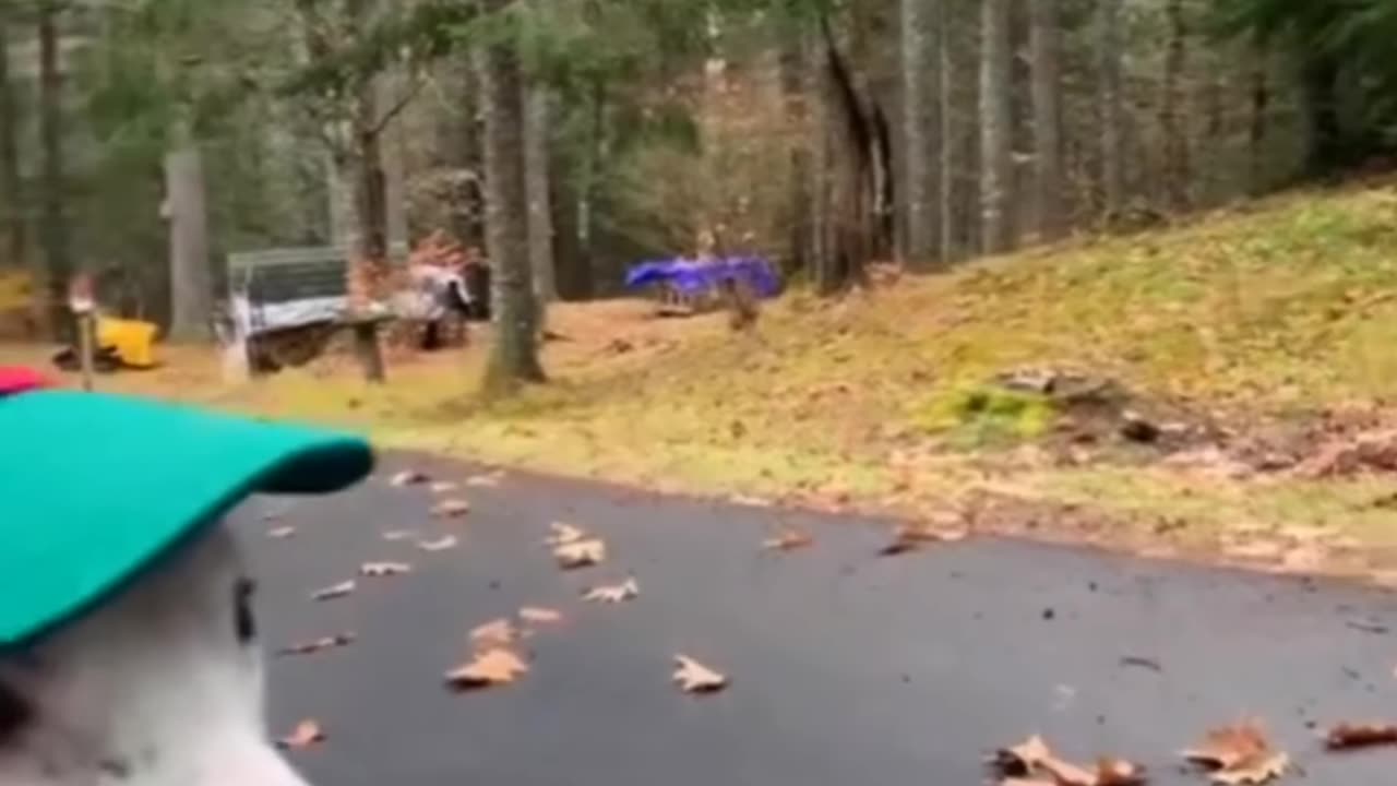 Try not to laugh 😂😂