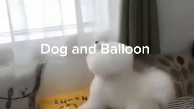 Cats are way more beautiful than we think