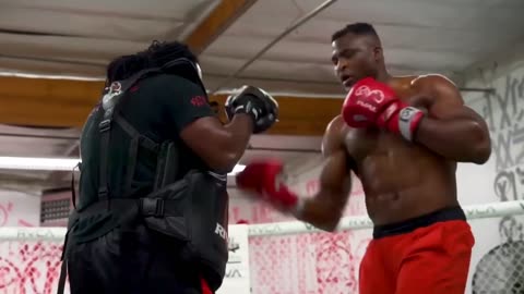 Francis Ngannou - Brutal 290lbs ''Next Boxing Fight'' Training 2024