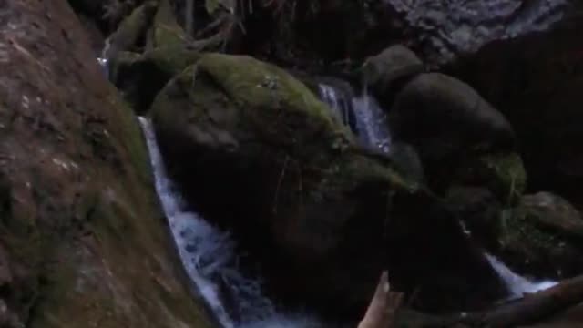 Calming forest waterfall slow motion