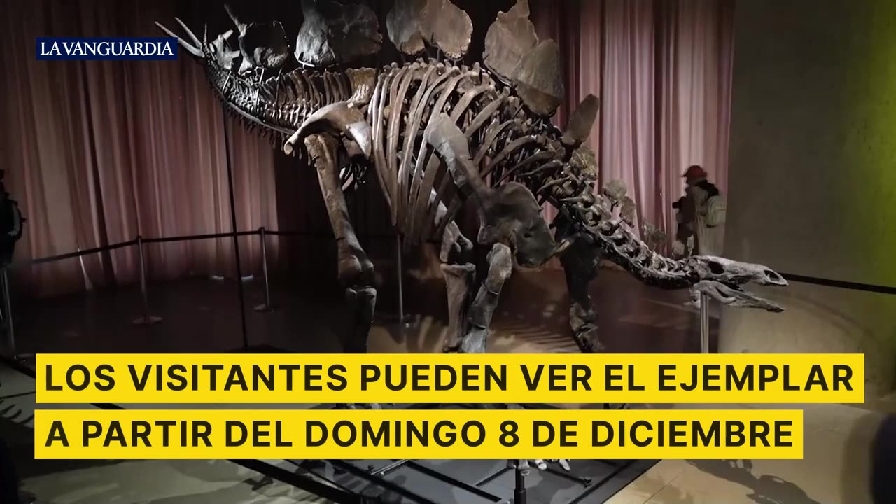 Así es el fósil de dinosaurio más caro del mundo