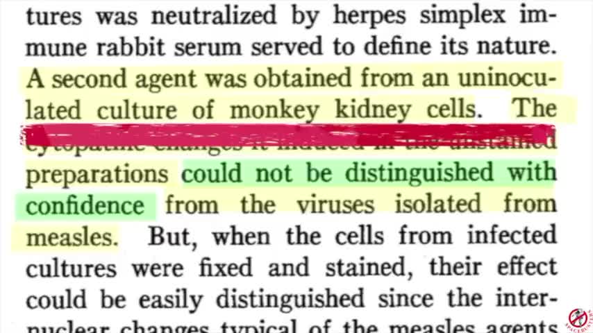 The End Of Germ Theory! By Spacebusters.