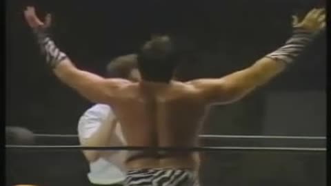 Ricky steamboat vs. Brutus beefcake