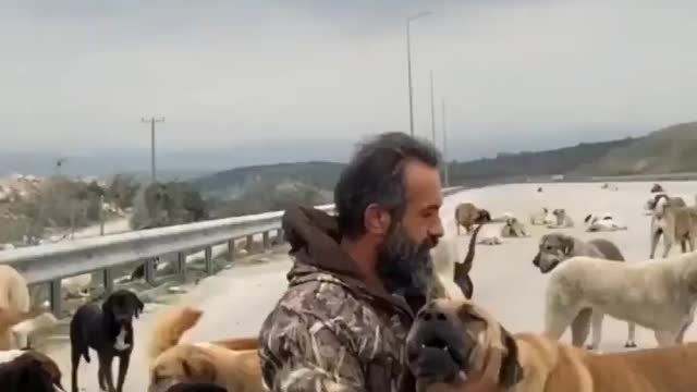 this man is a wonderful human being, the dogs love him